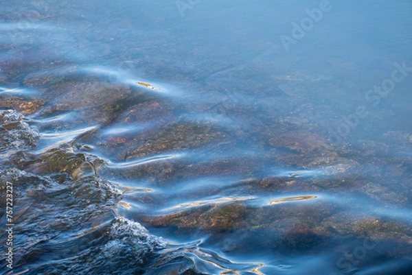 Fototapeta Detail of the fresh, transparent water flowing over the rocks in the background and forming small waves.