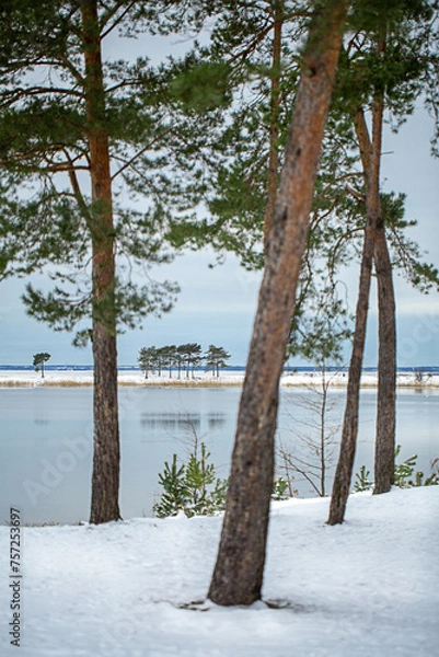 Obraz 
winter landscape on a forest lake