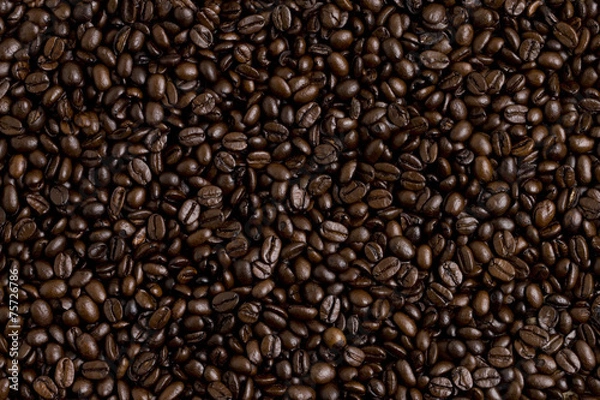 Fototapeta コーヒー豆
