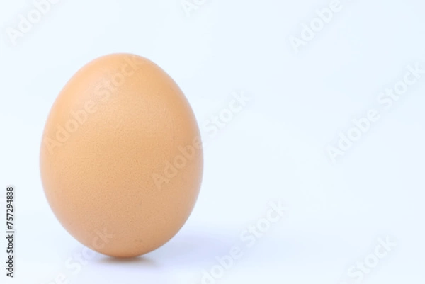 Obraz egg