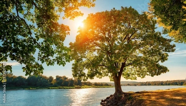 Fototapeta Psalm 1. Blessed be the man. He shall be like a Tree planted by the Rivers of Water.