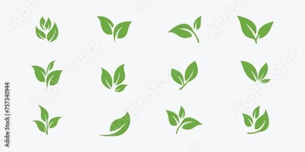 Obraz Green leaf ecology icon vector