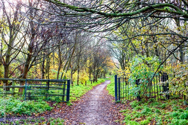 Fototapeta A wooden rustic gate and fence open onto a muddy path leading through wintry woods and bare overhanging branches