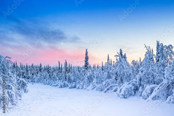 Obraz Zimowe słońce