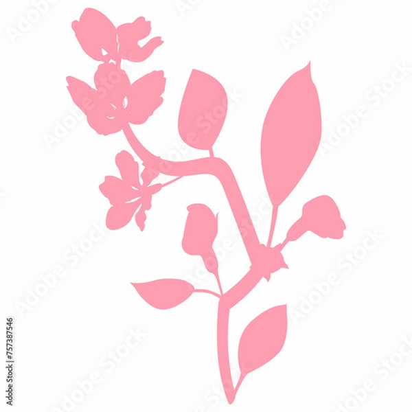 Fototapeta Sakura branch with flowers decoration.