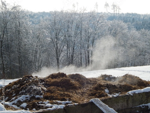 Obraz Misthaufen im Winter