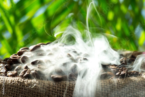 Fototapeta Frisch geröstete Kaffeebohnen im Sack