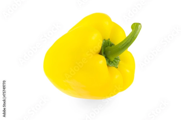 Obraz Yellow pepper on a white background