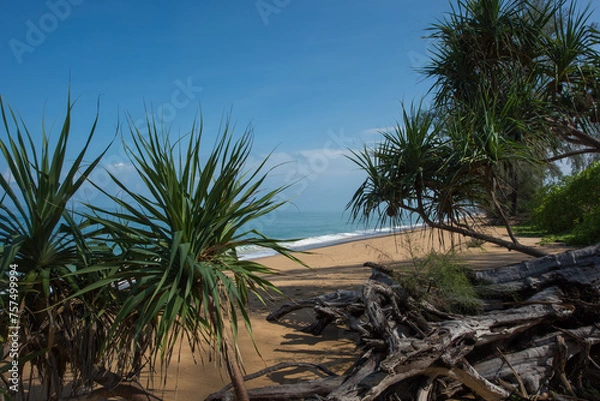 Obraz Ocean between palm trees