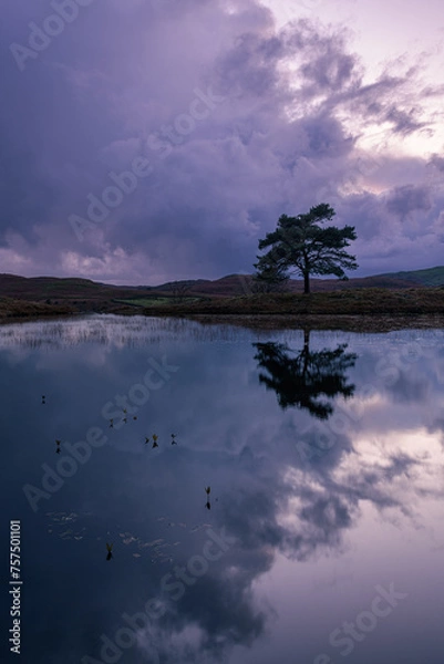 Obraz Kelly Hall Tarn at sunset