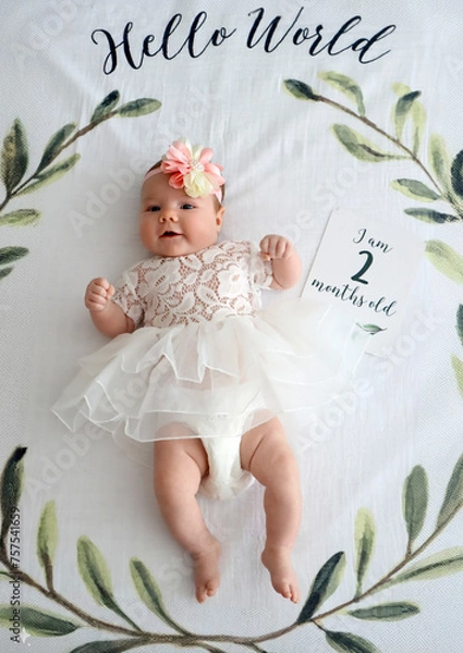 Obraz Celebrating age: A Precious Milestone with Our Little Girl