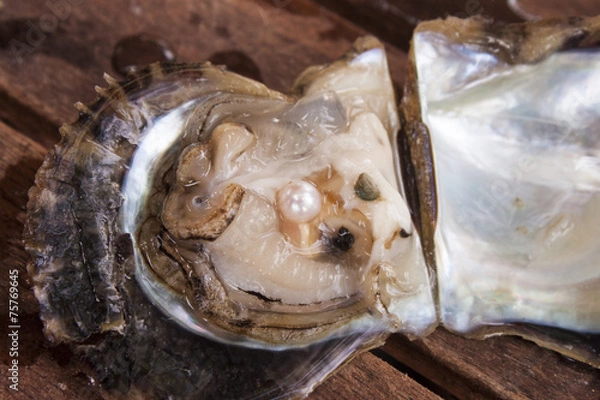 Obraz Pearl inside a oyster