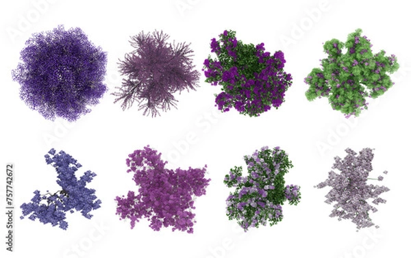 Fototapeta Set of tree with purple flowers top view for landscape plan and architecture layout