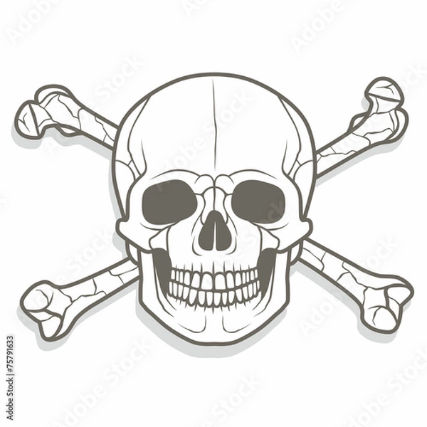 Fototapeta skull and bones