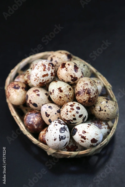 Fototapeta うずらの卵