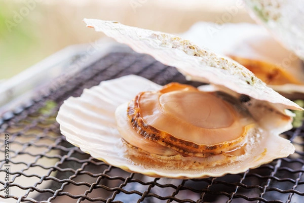 Obraz ホタテ、バーベキュー、炭火の上で生きたホタテを焼くシーン