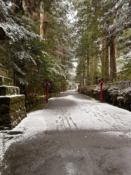 Fototapeta 雪が積もった神社の参道