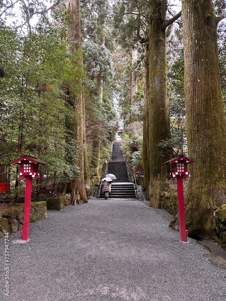 Fototapeta 山の中の神社参拝
