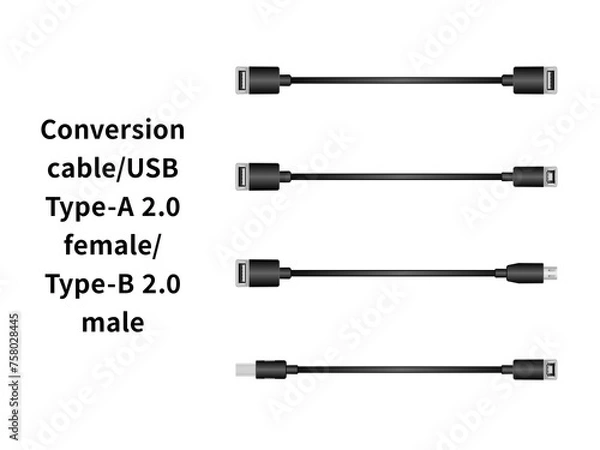 Fototapeta 変換ケーブル/USB Type-A 2.0 メス・Type-B 2.0 オス