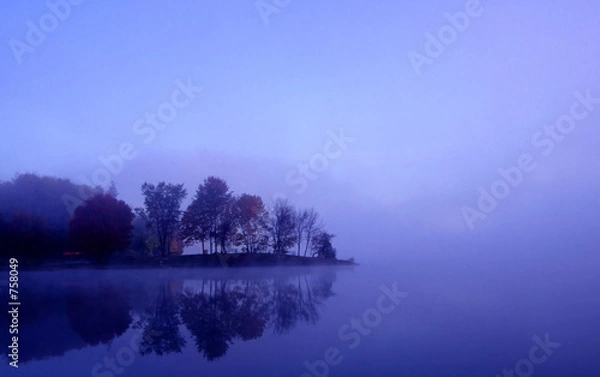 Fototapeta picnic grounds by the lake