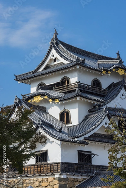 Fototapeta 日本　滋賀県彦根市にある彦根城の天守閣
