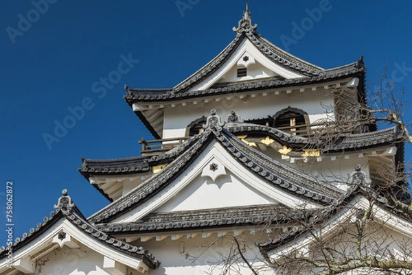 Fototapeta 日本　滋賀県彦根市にある彦根城の天守閣