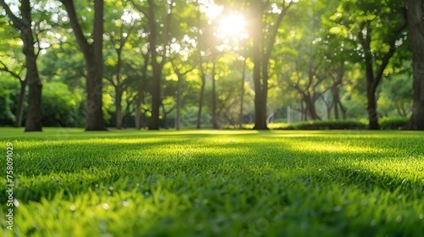 Fototapeta Lush green lawn and trees, perfect backdrop with space for text. Serene nature background, ideal for designs