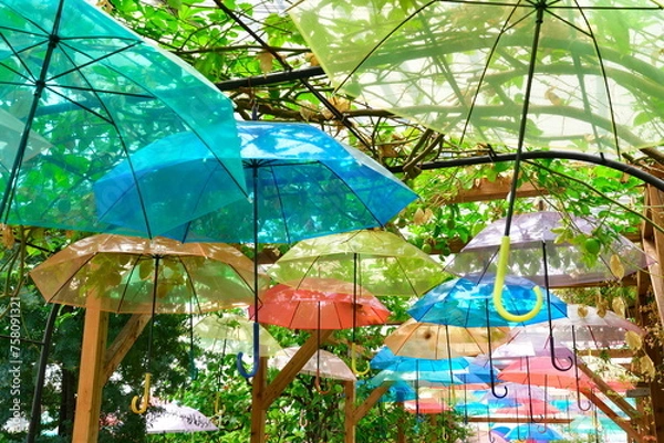 Fototapeta 猪苗代ハーブ園のアンブレラスカイ（福島県）