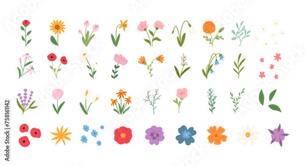 Fototapeta Set of hand drawn flowers in cute cartoon flat style, vector illustration isolated on white background. Spring and summer florals. Concepts of gardening and nature.