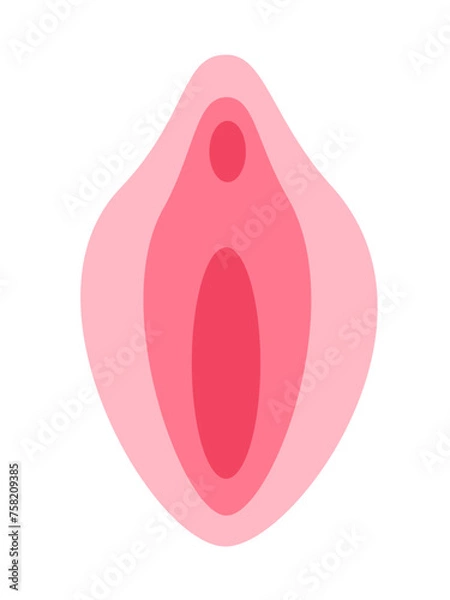 Fototapeta Vulva with vagina, labia minora, labina majora, clitoris and urinary meatus. Simple vector illustration of woman and female sex organ isolated on white.	