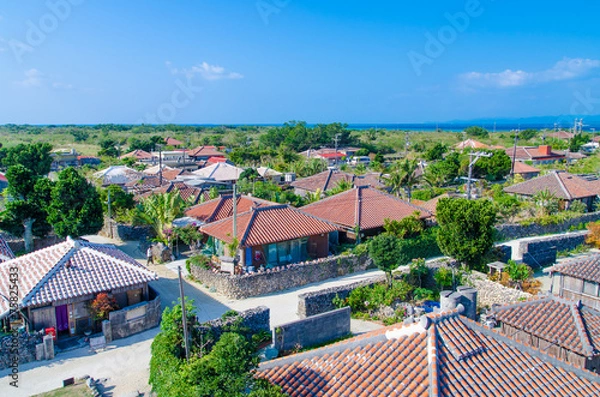 Obraz 沖縄県　竹富島　なごみの塔からの風景