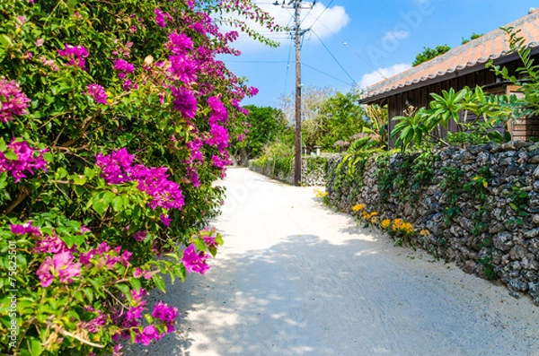 Fototapeta 沖縄県　竹富島の風景