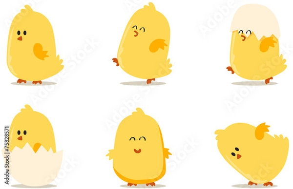 Fototapeta Pisklęta