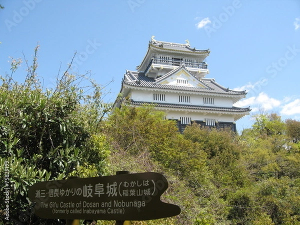 Fototapeta 岐阜城