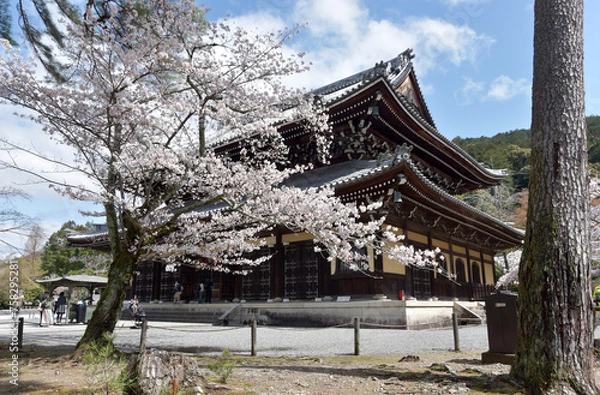 Fototapeta 春の南禅寺　法堂　京都市左京区