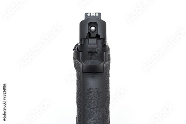 Fototapeta rear sight