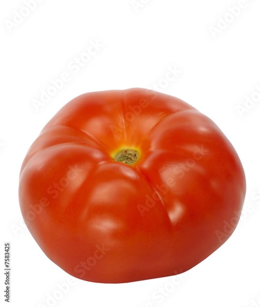 Obraz tomato