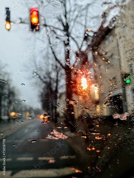 Obraz autumn in the city
