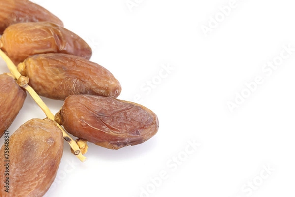 Obraz Date Palm