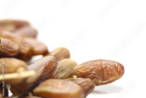 Obraz Date Palm