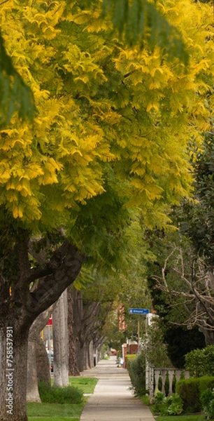 Fototapeta path in the neghnorhood