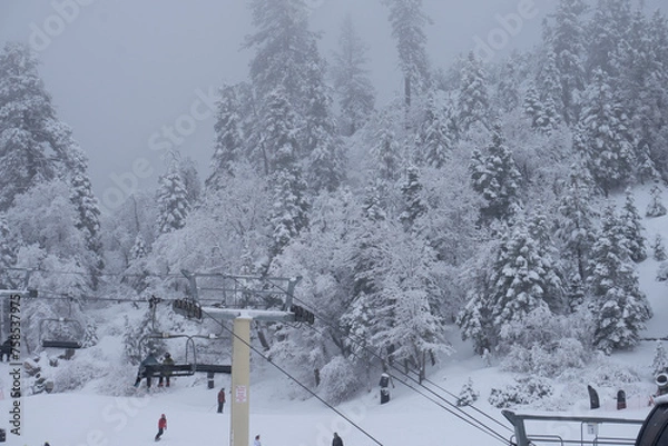 Obraz ski resort in winter