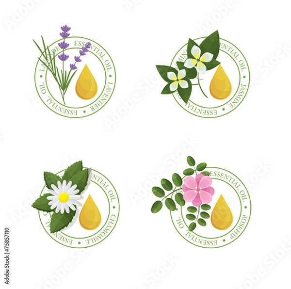 Obraz ESSENTIAL OIL LABELS