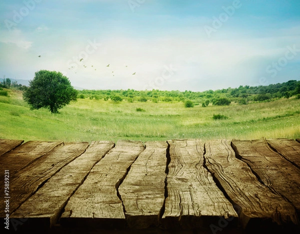 Obraz Spring background