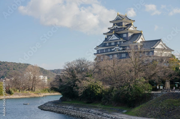 Obraz 岡山城と旭川