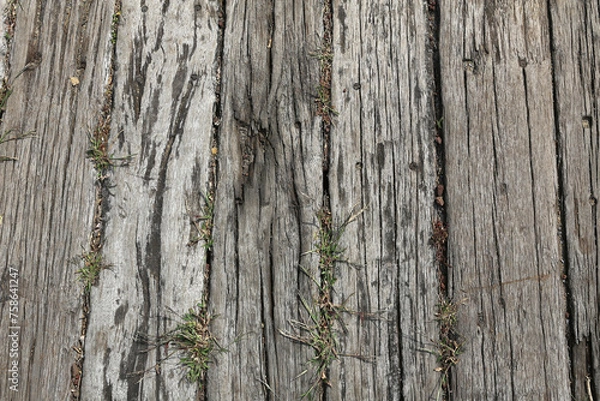 Fototapeta 나무, 고목, 결, 나이테, 오래된, 백그라운드, 텍스츄어