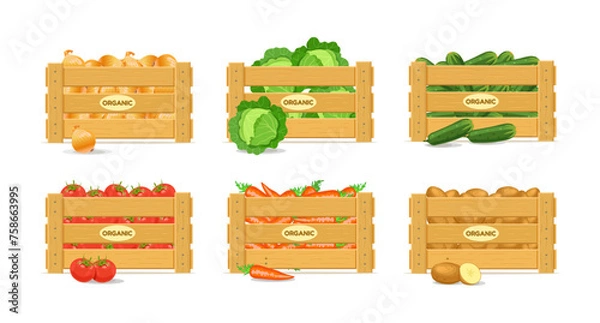 Fototapeta Boxes with vegetables. Carrots, potatoes, tomatoes, cucumbers, onions, cabbage. Vector illustration