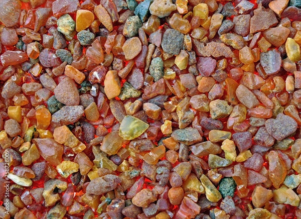 Fototapeta Baltic amber, resin segments, fossil millions of years