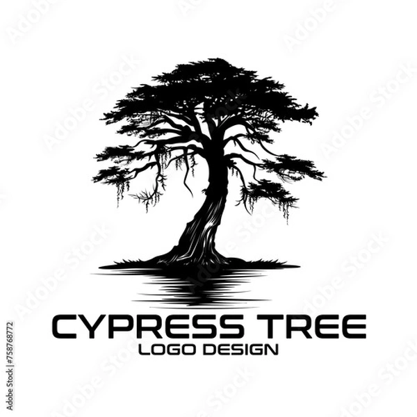 Fototapeta Cypress Tree Vector Logo Design