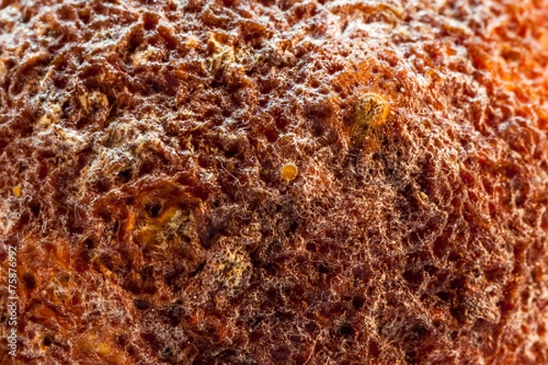 Obraz Orange, sécher